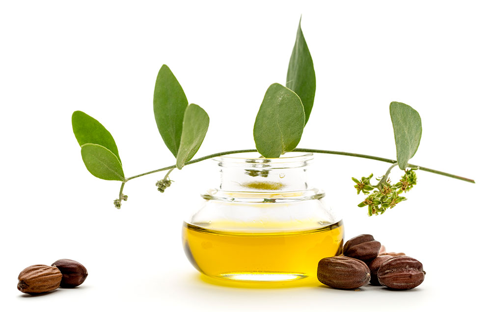 jojobaoil 1000