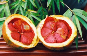 Gac Fruit opened