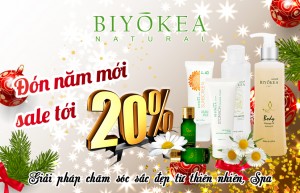 BIYÒKEA . ĐÓN NĂM MỚI SALE TỚI 20%