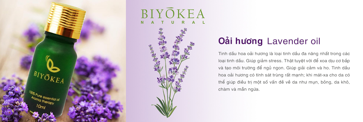 lavender oai huong