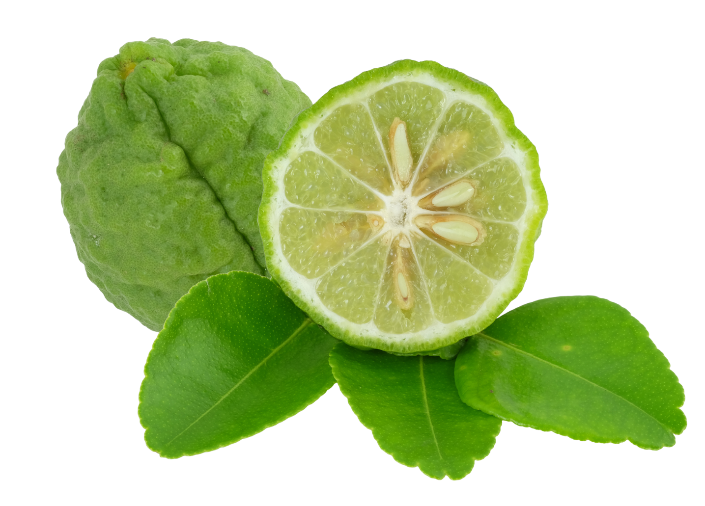 bergamot